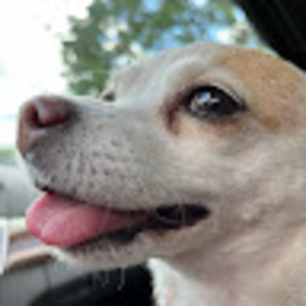 Meet your Posher, Marykay